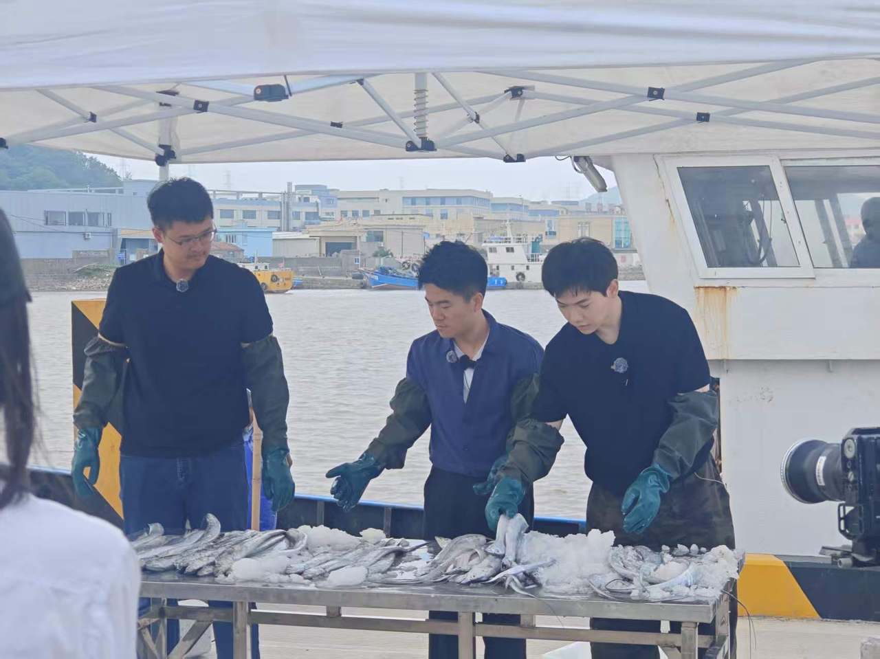 千万网友锁定董宇辉直播间,舟山端出的不只是一盘海鲜