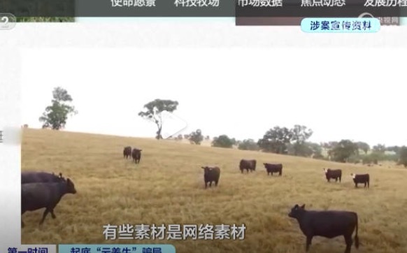 5000元认养一头牛,平台帮你养还帮你卖,全民养牛App纯是吹牛