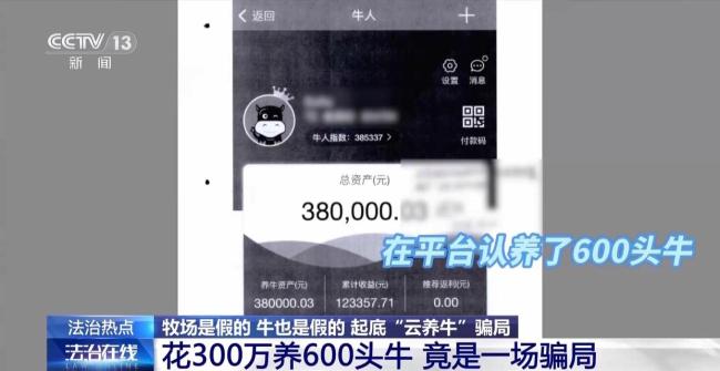 12万人被骗5.6亿,起底“云养牛”骗局 警惕虚假理财陷阱