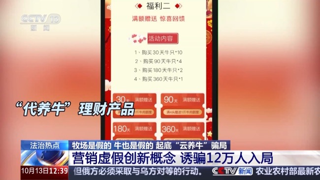 12万人被骗5.6亿,起底“云养牛”骗局 警惕虚假理财陷阱