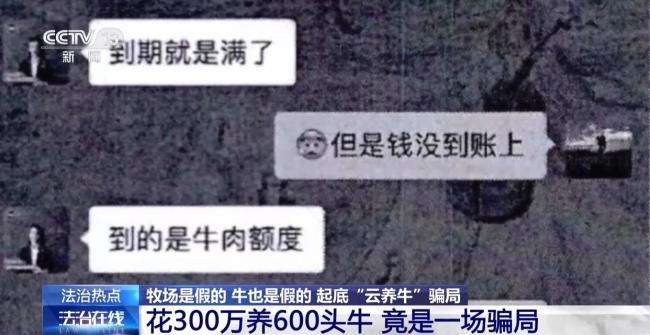 12万人被骗5.6亿,起底“云养牛”骗局 警惕虚假理财陷阱