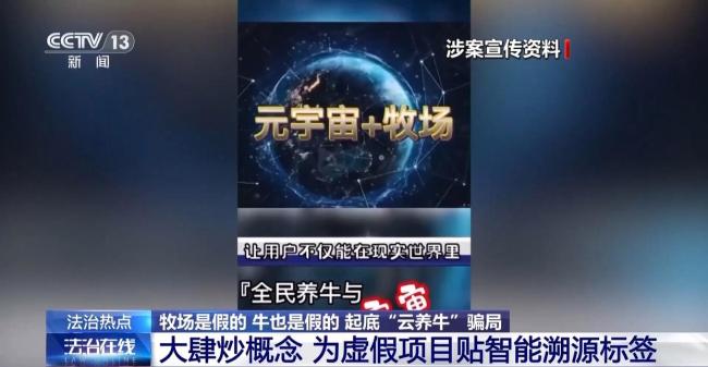 12万人被骗5.6亿,起底“云养牛”骗局 警惕虚假理财陷阱