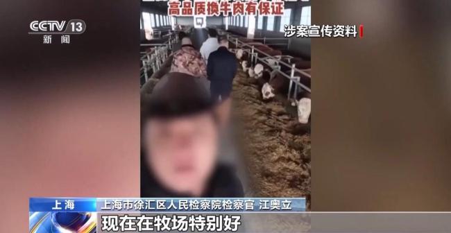 12万人被骗5.6亿,起底“云养牛”骗局 警惕虚假理财陷阱