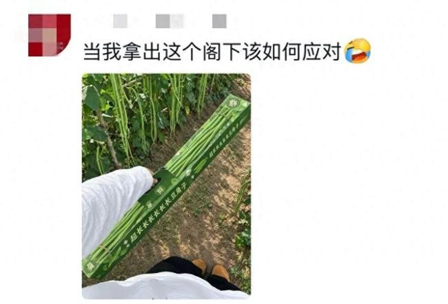 超长蛋挞没下手1米钙奶饼干我真买