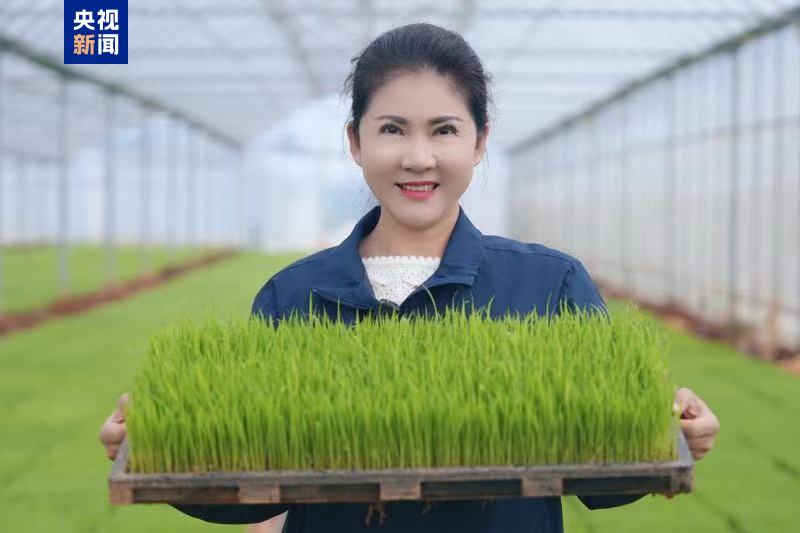 联合国粮农组织表彰“百位巾帼英雄”,殷玉珍等3名中国女性获殊荣