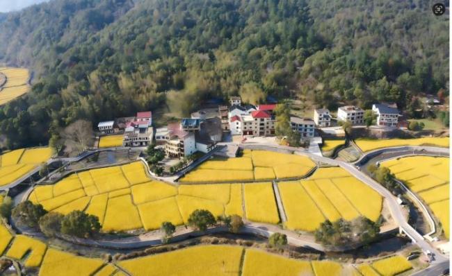 再添4处!中国世界灌溉工程遗产总数已达46项 新增遗产展现古代智慧