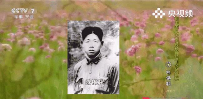 张雪被总理夸是小钢炮
