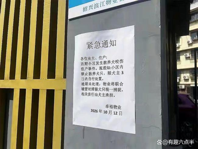两环卫工被比特犬扑咬 警方已介入 血的教训何时止