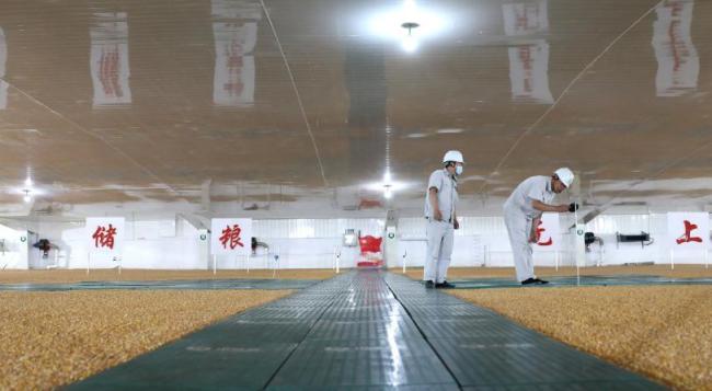 大国粮仓里的中国智慧 硬核科技守护粮食安全