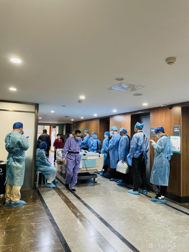 幼儿误食毒鸡蛋家属称3只狗也被毒死