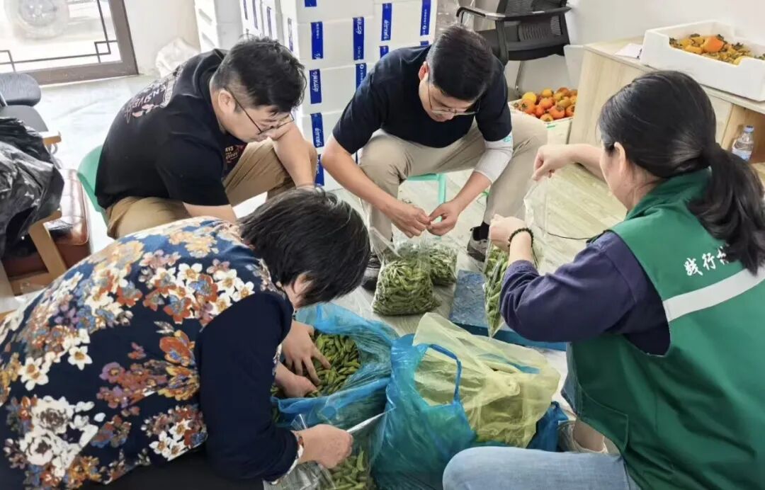 5天卖掉2000斤柿子,崇明这个村是怎么做到的?