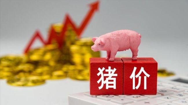 一夜遇冷,猪价下跌“跌猛了”!