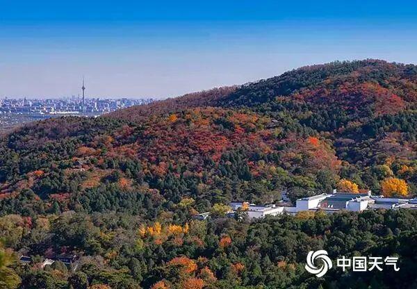 重阳节这十座名山值得奔赴 登高望远正当时
