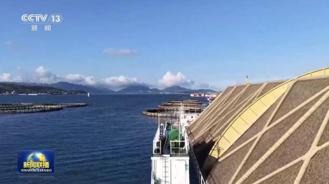 端牢中国饭碗 底气从何而来 创新与制度共筑稳粮根基