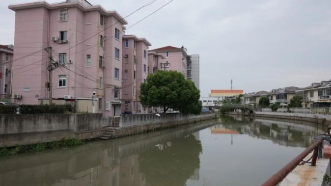 72岁老人纵身跳河救回6岁孩童 英勇无畏显大爱
