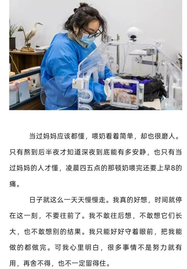 每个人都摸了它们没了温度的手:小熊猫离世引泪目