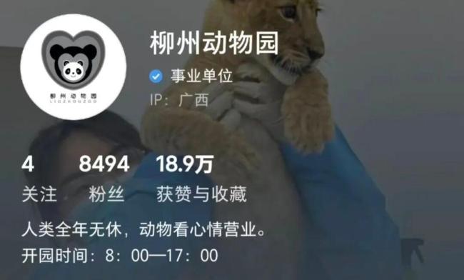 每个人都摸了它们没了温度的手:小熊猫离世引泪目