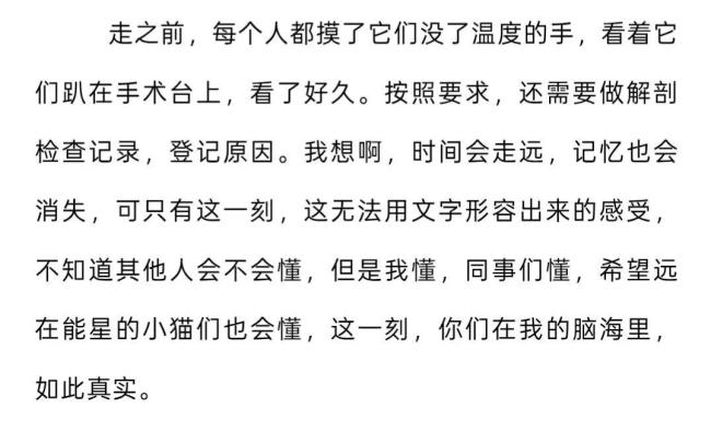 每个人都摸了它们没了温度的手:小熊猫离世引泪目