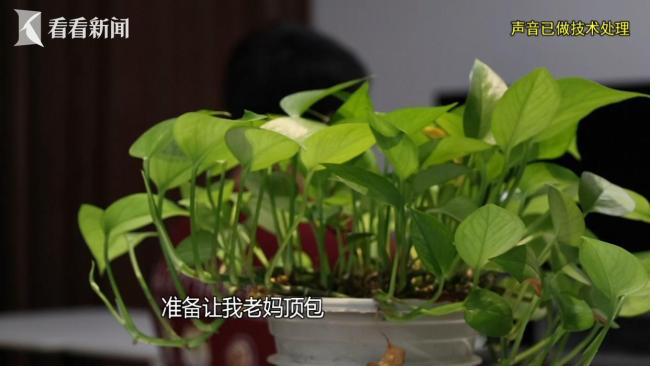 男子酒驾撞车先喊妈 妈妈真来顶包了 母子合谋逃责失败