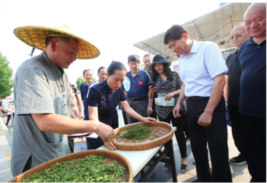 2024国际茶日暨第十六届全民饮茶日“儒风雅韵，茶香万家”（济宁主会场）启动仪式举行