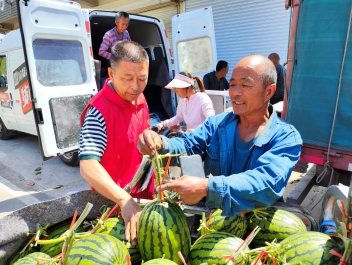 济宁市泗水县泗河街道第一书记工作队联合县农商银行“驻点办公” 守护西瓜丰收季