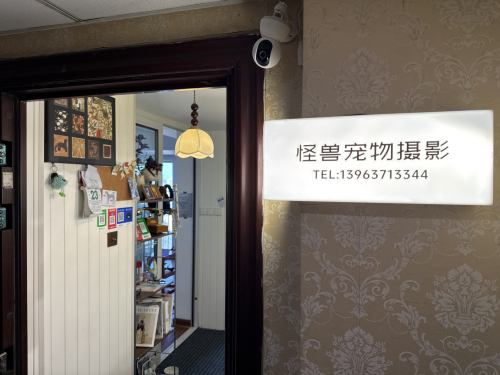 怪兽宠物摄影