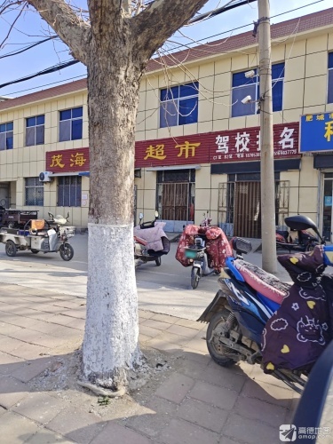 大顺驾校报名处